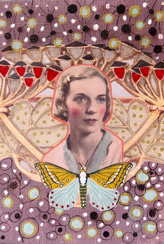 Portrait Butterfly