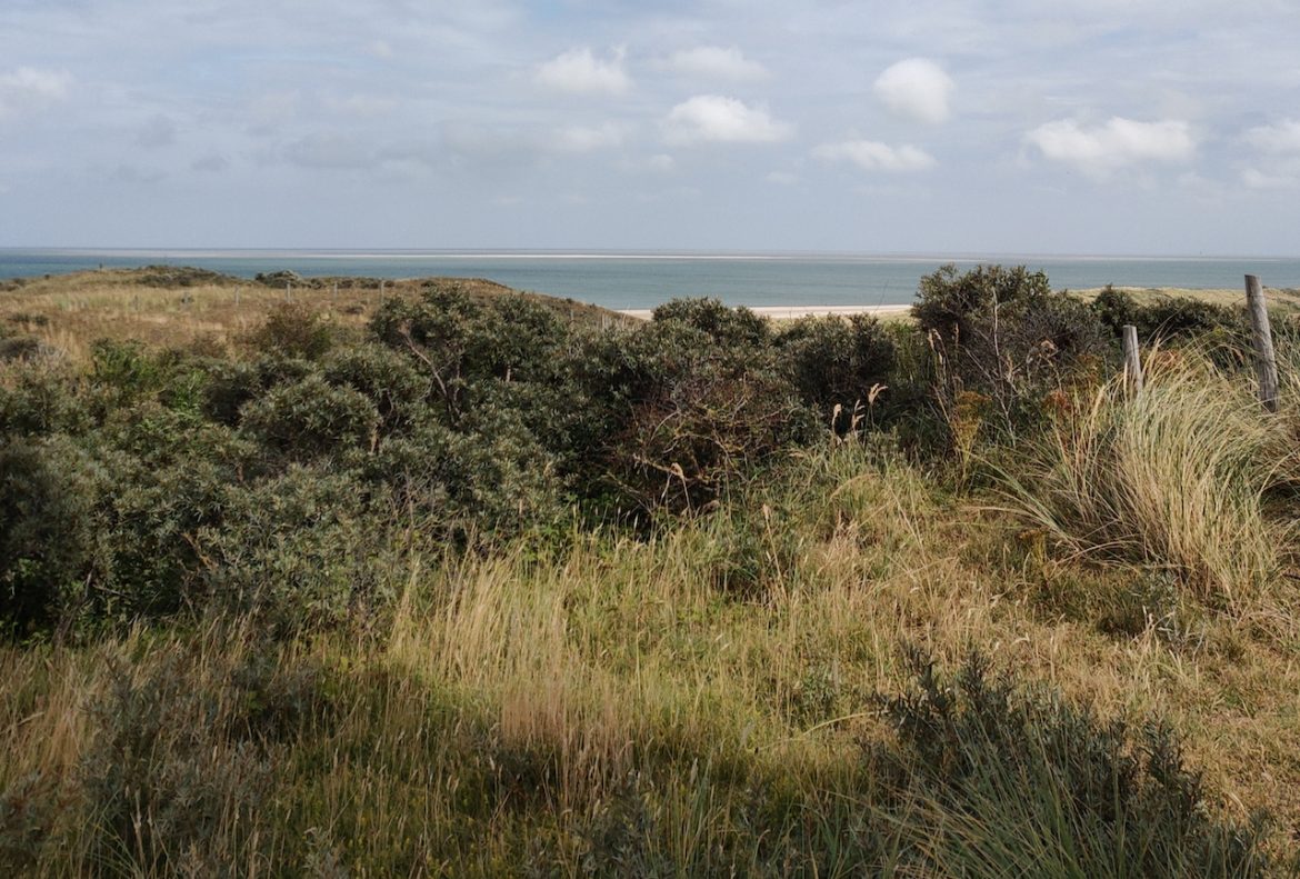 Header blog Texel